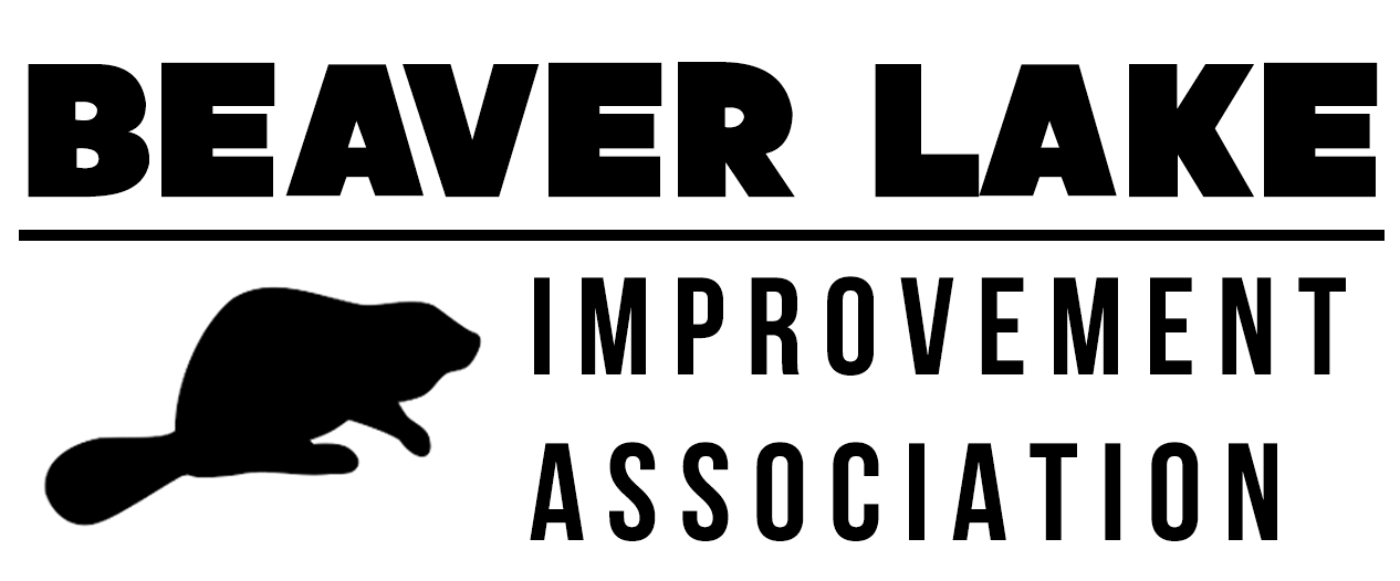Beaver Lake Derry, NH Beaver Lake Improvement Association